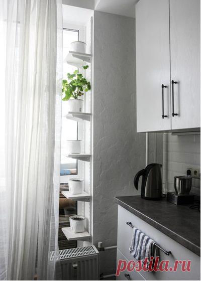 Как правильно: Помочь комнатным растениям пережить зиму