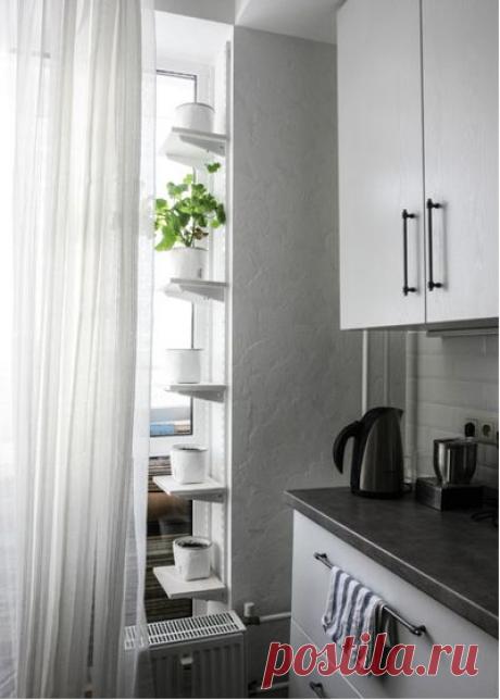 Как правильно: Помочь комнатным растениям пережить зиму