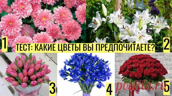 Цветочный тест расскажет, какая вы девушка