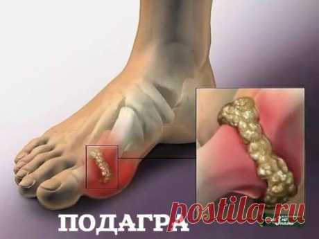 8 непрочитанных чатов