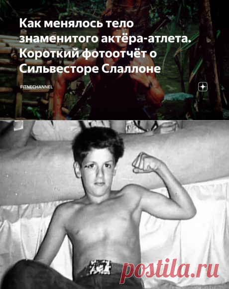 Как менялось тело знаменитого актёра-атлета. Короткий фотоотчёт о Сильвесторе Слаллоне | fitnechannel | Дзен