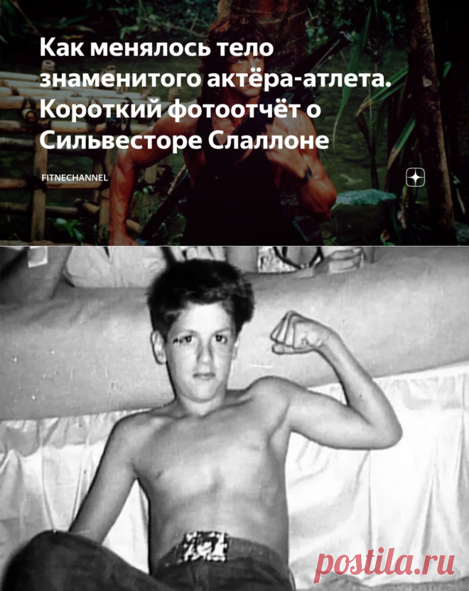 Как менялось тело знаменитого актёра-атлета. Короткий фотоотчёт о Сильвесторе Слаллоне | fitnechannel | Дзен