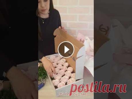 Сборка букета из мыльных роз Видеоурок о том как собрать из мыльных роз объемный букет Подписывайтесь на мою инстаграмм страницу #мыльныерозы #каксобратьмыльныерозы #сборкабукета ...