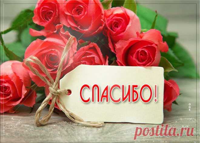 Картинки Спасибо