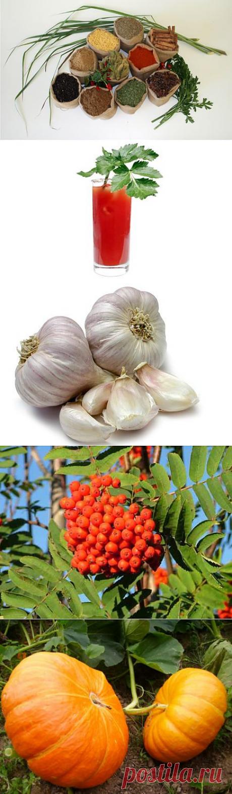 Народные способы похудения: мракобесие или мудрость бабушек? | Диеты со всего света