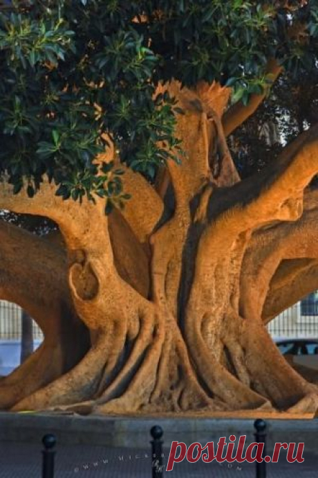 (156) Pinterest