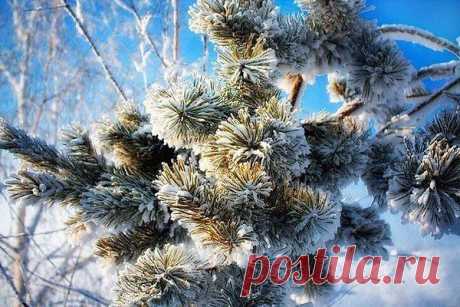 Интересные новости