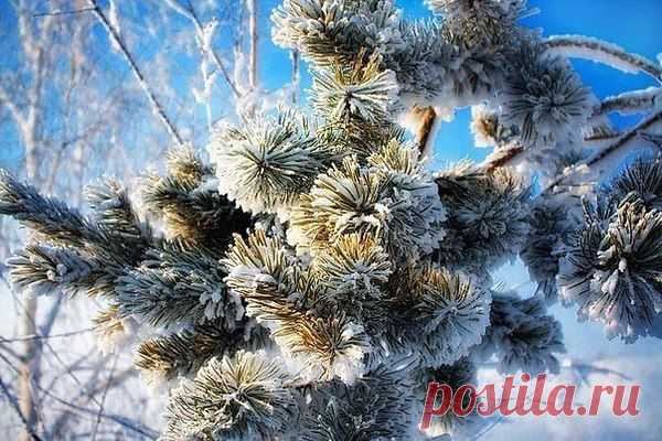 Интересные новости