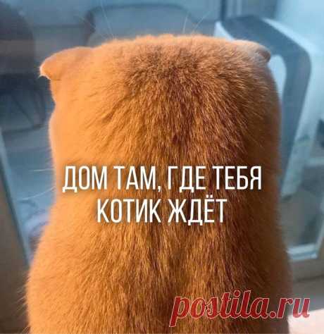 очень ждёт