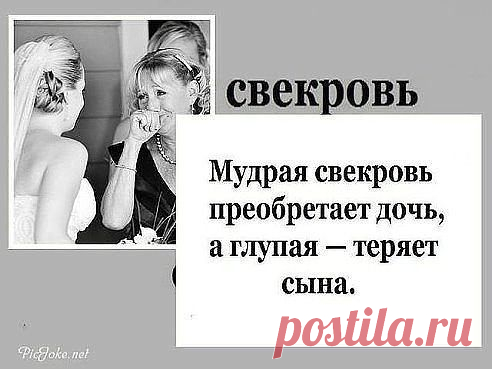 Нина Школа (Корчагина)
52 года, Россия, Ярцево
все её фото