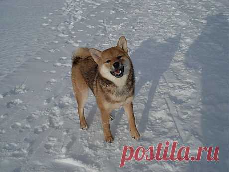 Наша малышка