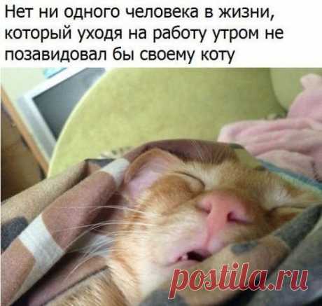 Смешные короткие анекдоты  1. Погода шепчет: &ldquo;Надень брюки, захвати с собой шорты и не забудь пуховик&rdquo;.
2. В рейтинге троллинга погода уверенно подвинула сборную России по футболу на второе место.
3. Лишний вес жен…