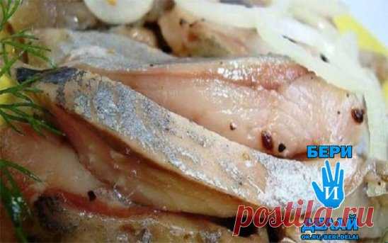 Вкуснейшая засолка сельди в бутылке Тогда мы идем к вам! Такой рецепт вы точно не пробовали и, поверьте, он станет вашим любимым!
Ингредиенты:
сельдь;
вода — 1,5 литра;
соль каменная — 3-4 столовые ложки;
сахар — 2 столовые ложки;
лавровый лист — 3 штуки;
кориандр — 0,5 чайной ложки;
перец душистый — 5 горошин;
хмели-сунели — 0,5 чайной ложки.
Вкуснейшая засолка сельди в бутылке. Пошаговое приготовление
Наливаем в кастрюльку воду и ставим на плиту закипать.
Пока вода закипает, подготовим спе