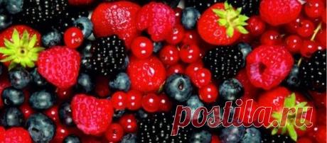 9 самых полезных продуктов для всего организма | Факты обо всем