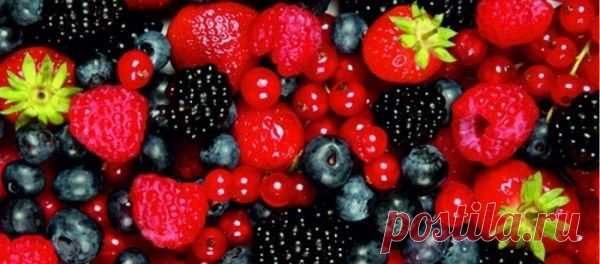 9 самых полезных продуктов для всего организма | Факты обо всем