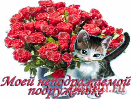 (5) Одноклассники