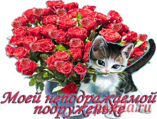 (5) Одноклассники