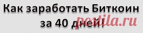 биткоин за 40 дней