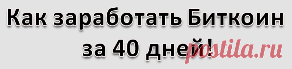 биткоин за 40 дней