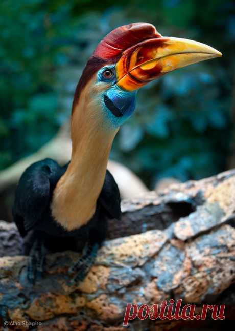 (via colourfulbirds)