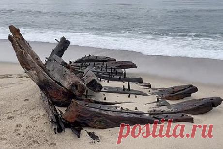 Женщина нашла на пляже обломки затонувшего 139 лет назад корабля. Жительница США гуляла с собакой на пляже и нашла обломки торговой трехмачтовой шхуны, которая пропала 139 лет назад. Груженый хлопком и металлическим ломом корабль сбился с курса из-за сильной бури и затонул. Женщина сняла находку на видео и отправила специалистам. Те приехали, чтобы лично осмотреть обломки.
