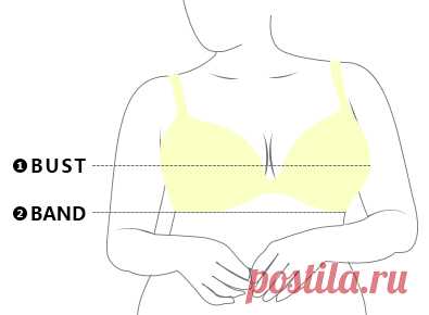 Горячие сексуальные Deep V Gather Breathable Wireless Full Coverage Bras - NewChic