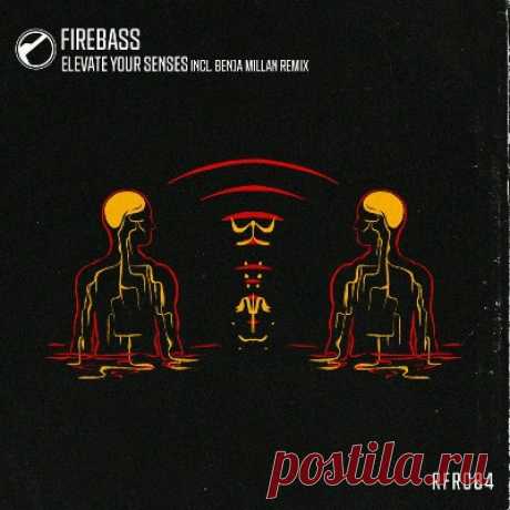 Firebass – Elevate Your Senses