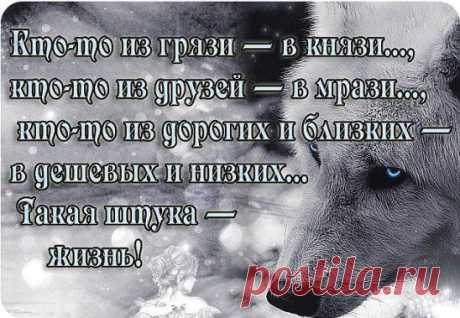 (48) Одноклассники