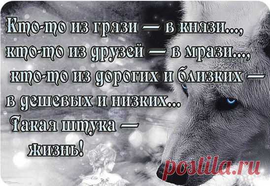 (48) Одноклассники