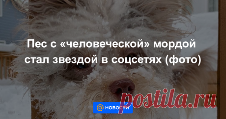 Он умеет сказать глазами все.