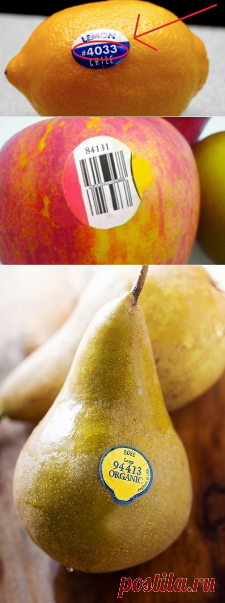 (9) Одноклассники