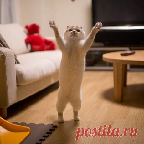 Интересные новости