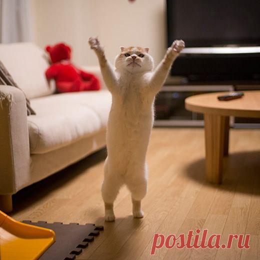 Интересные новости