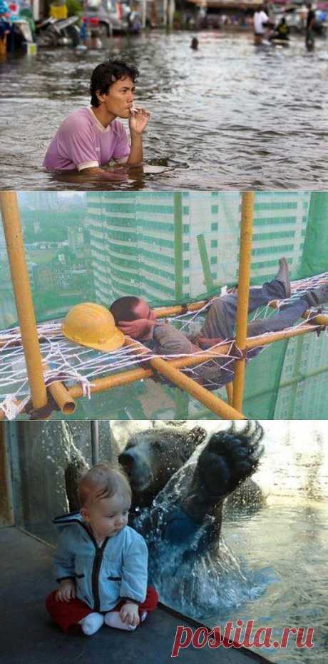 They Just Don’t Care (33 Photos) | FunCage