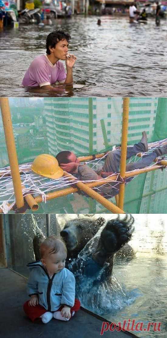 They Just Don’t Care (33 Photos) | FunCage