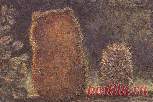 Вот и сегодня Ёжик сказал Медвежонку: | thePO.ST