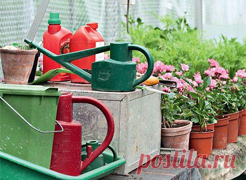 Гуматы: экологически чистые удобрения на Supersadovnik.ru