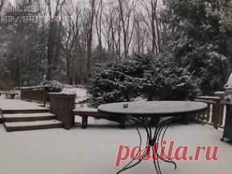 Снегопад 24 часа.