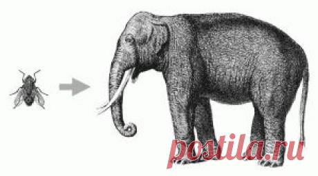 РОДНАЯ РЕЧЬ. Фразеологизмы (3)