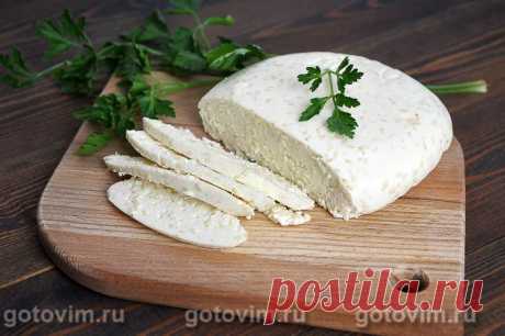 Домашний сыр с кунжутом. Рецепт с фото Хотите порадовать своих близких нежным домашним сыром? Нет ничего проще! Вам понадобится всего пять ингредиентов, немного времени на приготовление и чуточку терпения для ожидания созревания сыра. Время приготовления - 30 минут + сутки на созревание. Выход: 700г. Итак, все по порядку.


