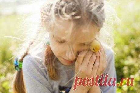 10 важных навыков до 10 лет: чему нужно научить ребёнка?. Современные навыки выживания: что должен уметь ребёнок к 10 годам?