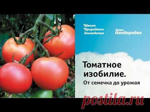 Семинар «Томатное изобилие. От семечка до урожая» — Ваше Плодородие