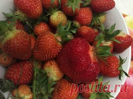 ПРАВИЛЬНАЯ ПОСАДКА КЛУБНИКИ!! ВАЖНЫЕ МОМЕНТЫ!!!