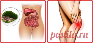 Что происходит с организмом, когда вы часто едите семечки (И правда ли, что они провоцируют аппендицит) — Journal women❜s