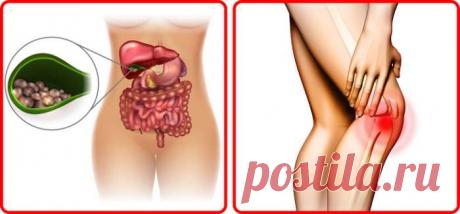 Что происходит с организмом, когда вы часто едите семечки (И правда ли, что они провоцируют аппендицит) — Journal women❜s