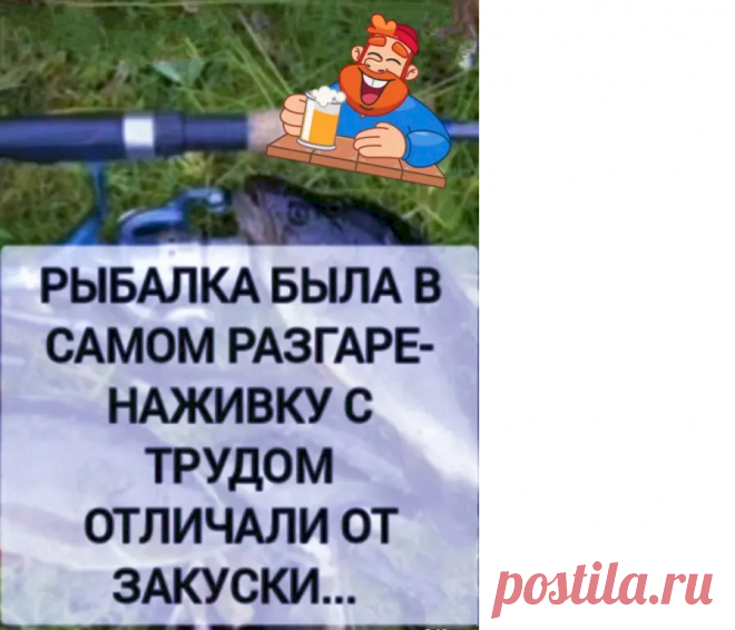 Выпуск №6714 - выпуск анекдотов сайта вокруг смеха