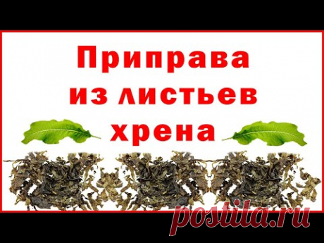 Приправа из листьев хрена - Horseradish leaf seasoning