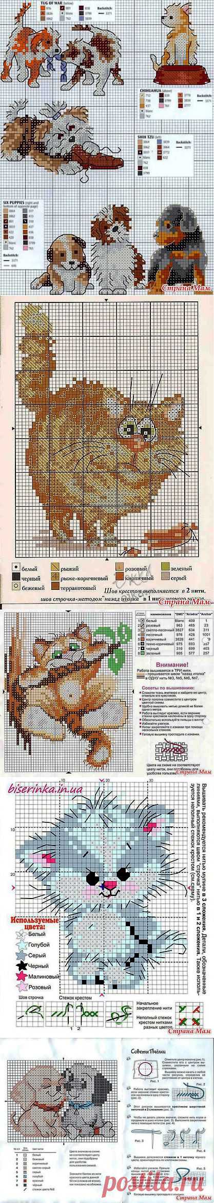 Вышивки крестиком Котики и Собачки.: Дневник группы "Клуб рукоделия" - Страна Мам