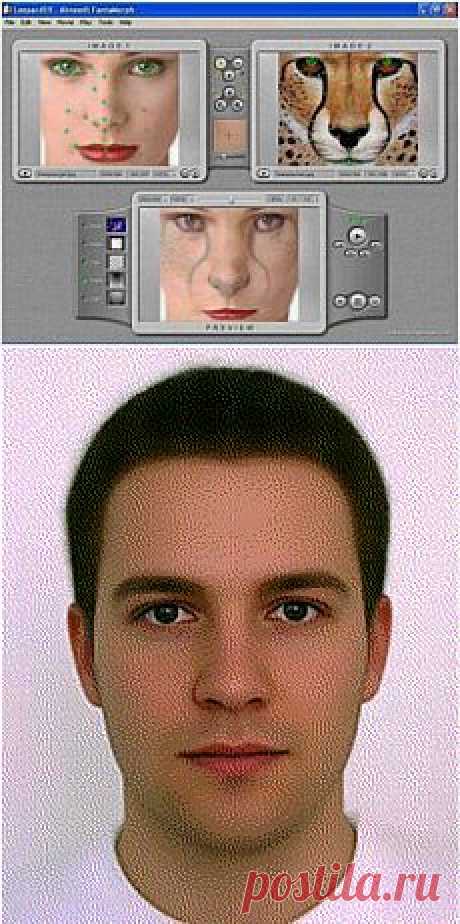 Программа для создания спецэффектов в видео из фотографий типа превращение..