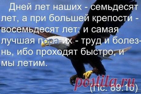 религия,святые,православные праздники | Записи в рубрике религия,святые,православные праздники | Дневник Ванда